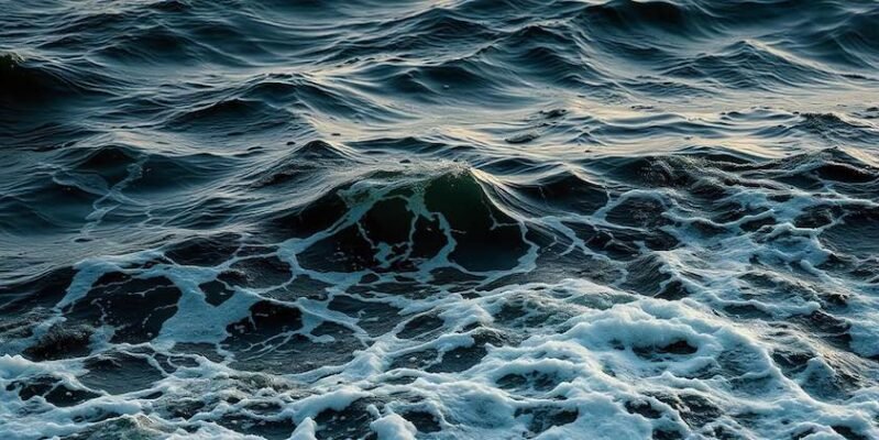 Цікаві та невідомі факти про Червоне море, які вас здивують