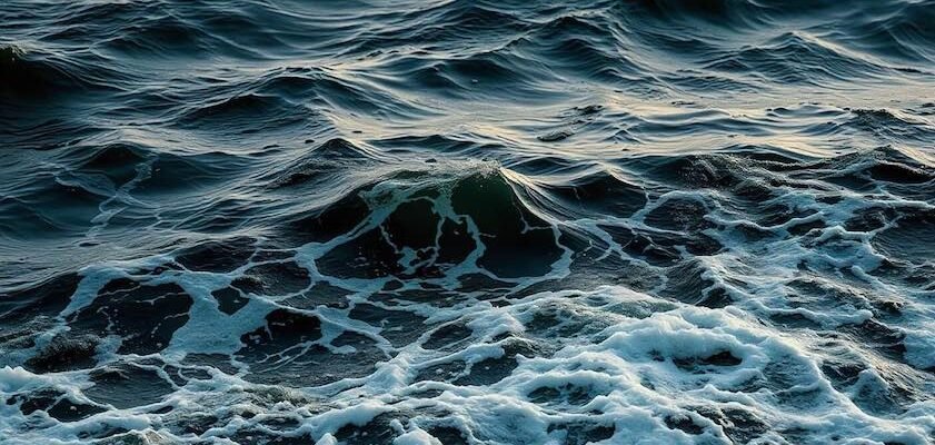 Цікаві та невідомі факти про Червоне море, які вас здивують