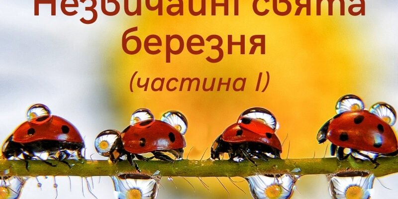 Цікаві та незвичайні свята в березні: що відзначаємо цього місяця?