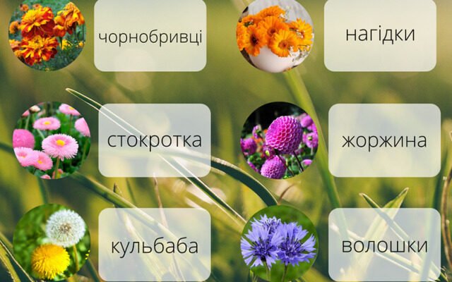 Цікаві та незвичні назви квітів: відомі й маловідомі приклади