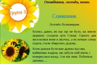 Цікаві та пізнавальні факти про соняшник для малечі: дізнайся більше!