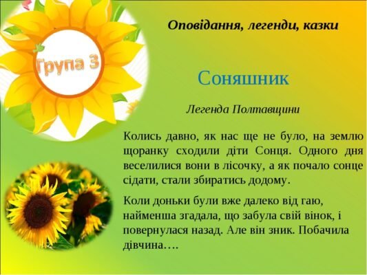 Цікаві та пізнавальні факти про соняшник для малечі: дізнайся більше!