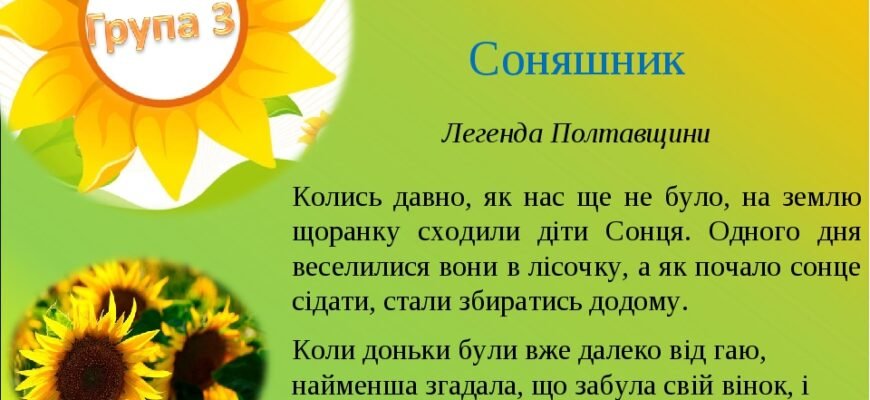 Цікаві та пізнавальні факти про соняшник для малечі: дізнайся більше! Цікаві та пізнавальні факти про соняшник для малечі: дізнайся більше!
