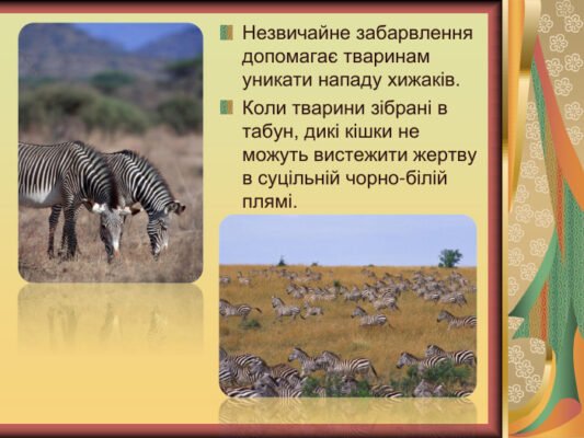 Цікаві тварини Африки: незвичайні факти та захоплюючі відкриття