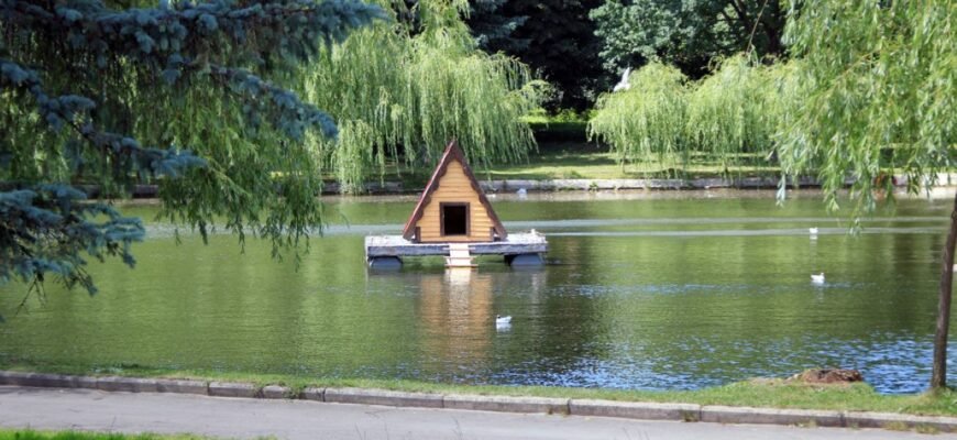 Цікаві заклади Рівного: найкращі місця для відпочинку та дозвілля