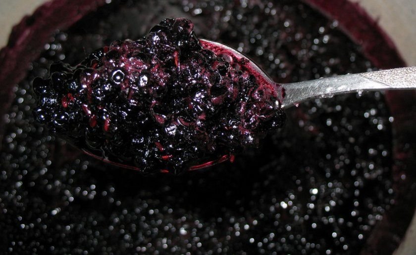 Ягоди бузини лікувальні властивості: що це, як вживати та чого ...