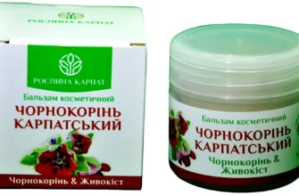 Цілющі властивості верби: природні засоби для здоров’я та зцілення