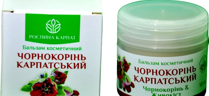 Цілющі властивості верби: природні засоби для здоров’я та зцілення