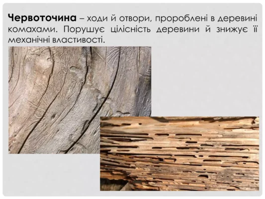 Важливі властивості деревини для виготовлення якісних виробів