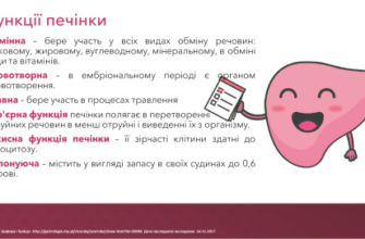 Відхилення показників печінки: причини, симптоми та лікування