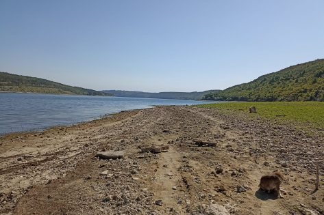 ➤ Чернівецька область • Цікаві місця • Що подивитись в ...