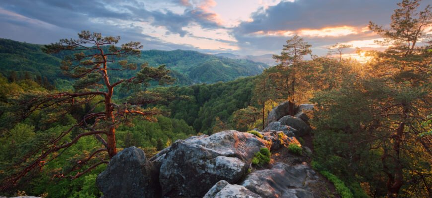 Відкрийте для себе цікаві місця Чернівецької області: путівник по локаціях Відкрийте для себе цікаві місця Чернівецької області: путівник по локаціях