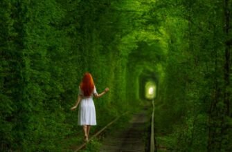 Відкрийте незвичні локації України: ТОП-10 цікавих місць для відвідування