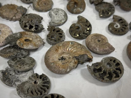 27 років разом: яке весілля та традиції - червоне весілля