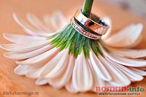 9 річниця шлюбу: фаянсове або ромашкове весілля: що подарувати та ...