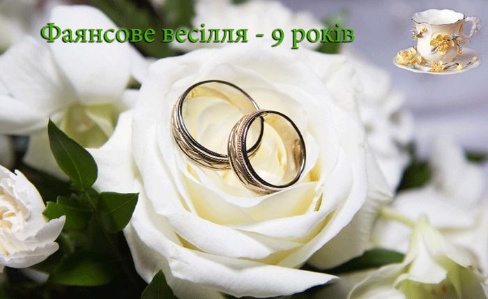 Привітання з річницею весілля 9 років — фаянсове весілля