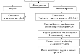 Властивості аміноетанової кислоти: детальний огляд та застосування