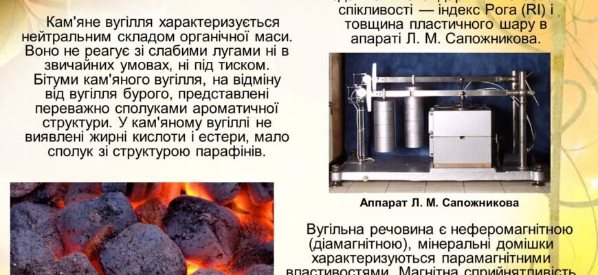 Властивості кам’яного вугілля: види, хімічний склад та застосування