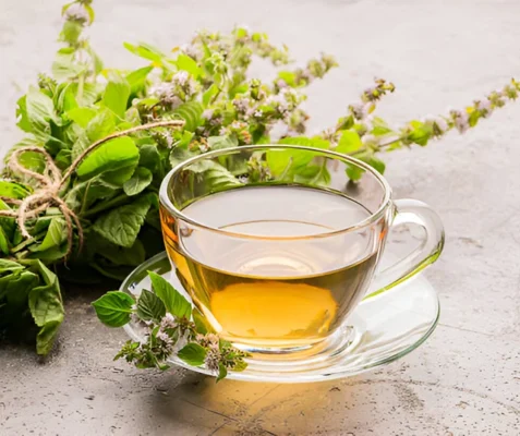 Властивості меліси: користь для здоров’я, застосування та ефекти