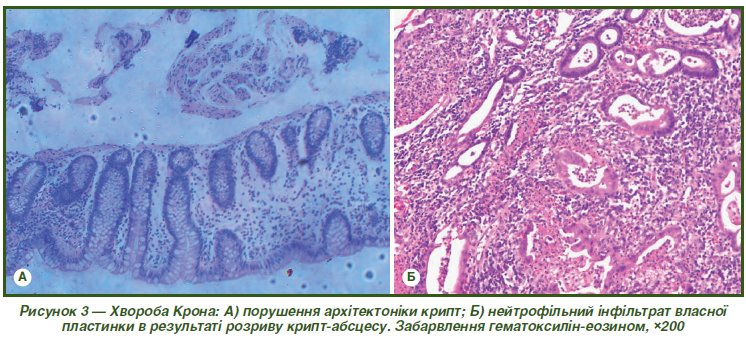 МОЛЕКУЛЯРНІ МЕХАНІЗМИ МІЖКЛІТИННОЇ КОМУНІКАЦІЇ
