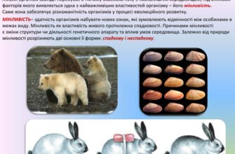 Як організми змінюють свою морфологічну структуру: основні механізми