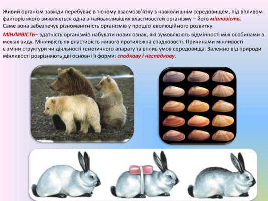 Як організми змінюють свою морфологічну структуру: основні механізми