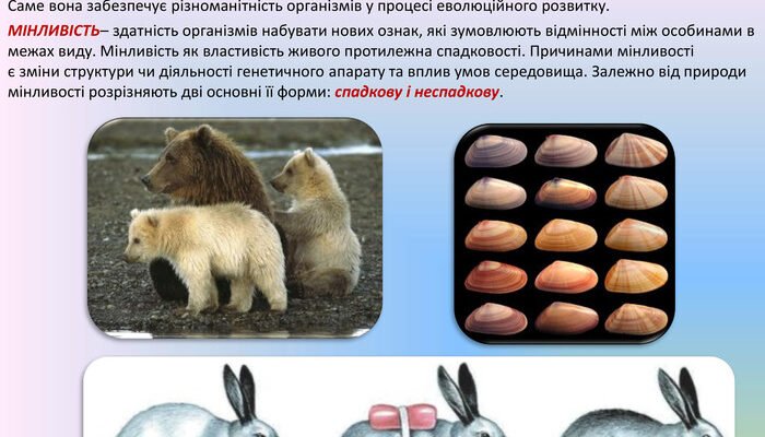 Як організми змінюють свою морфологічну структуру: основні механізми Як організми змінюють свою морфологічну структуру: основні механізми