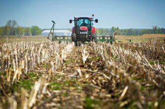 Як підвищити родючість ґрунту: ефективні методи та поради агрономів