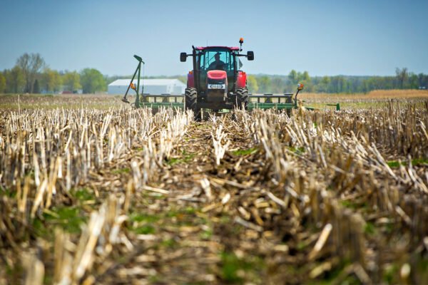 Як підвищити родючість ґрунту: ефективні методи та поради агрономів
