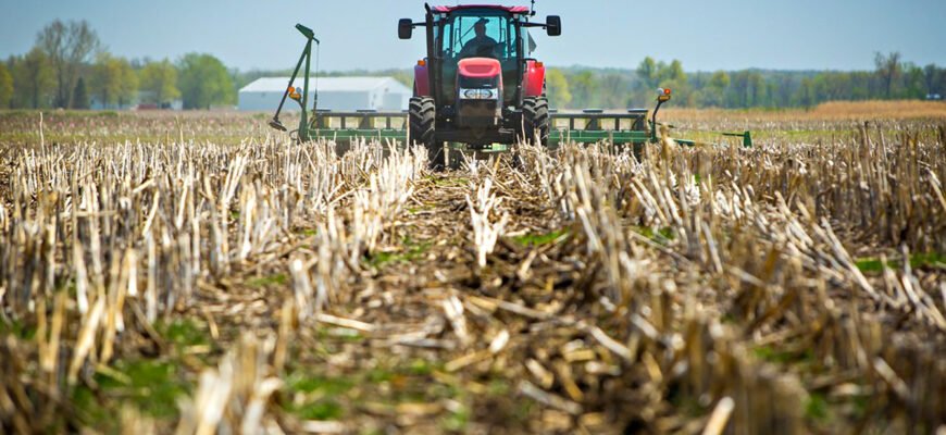 Як підвищити родючість ґрунту: ефективні методи та поради агрономів