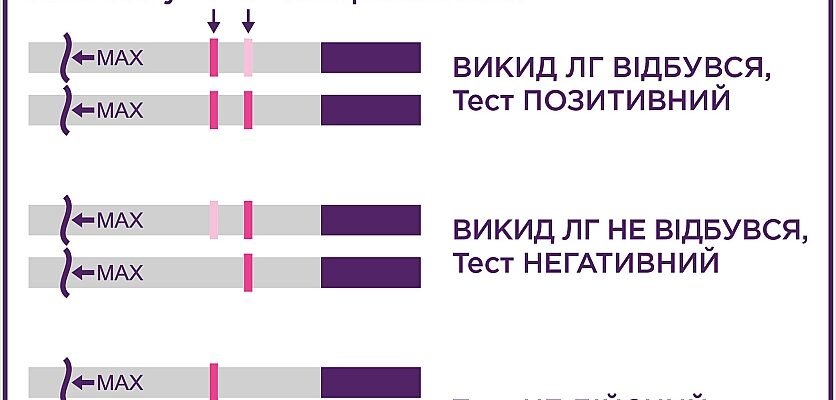 Як точно визначити термін вагітності: поради для майбутніх мам