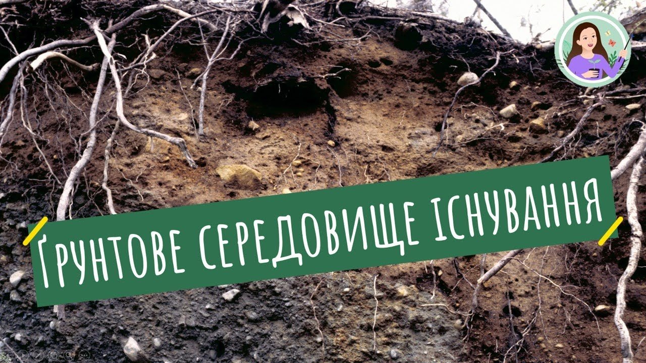 Родючість Ґрунту: Фактори Впливу та Заходи Підвищення