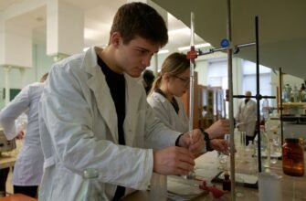 Які документи потрібні для вступу в коледж: повний перелік для абітурієнтів