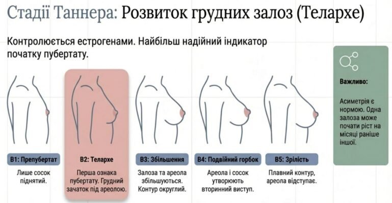 Який нормальний розмір грудей у 16-річних дівчат: розуміння особливостей розвитку