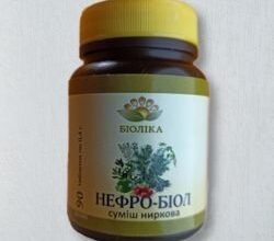 Ялівець: лікувальні властивості та користь для вашого здоров’я