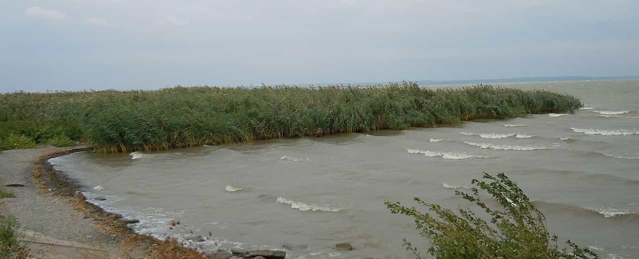 Ялпуг – найбільше прісноводне озеро України