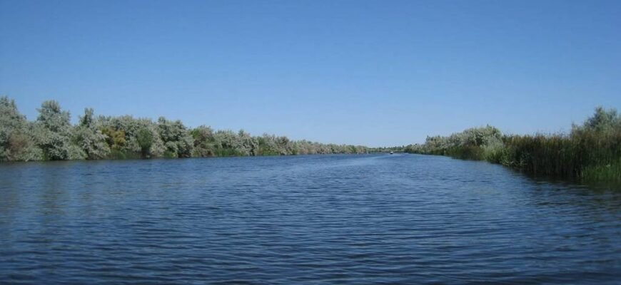 Ялпуг: Цікаві факти про найбільше прісноводне озеро України