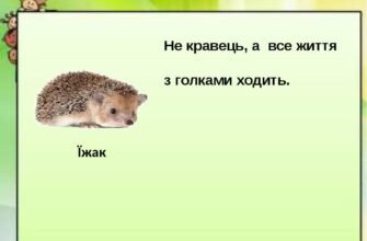 Загадки про тварин для дітей 8-9 років: розвиваймо уяву разом!