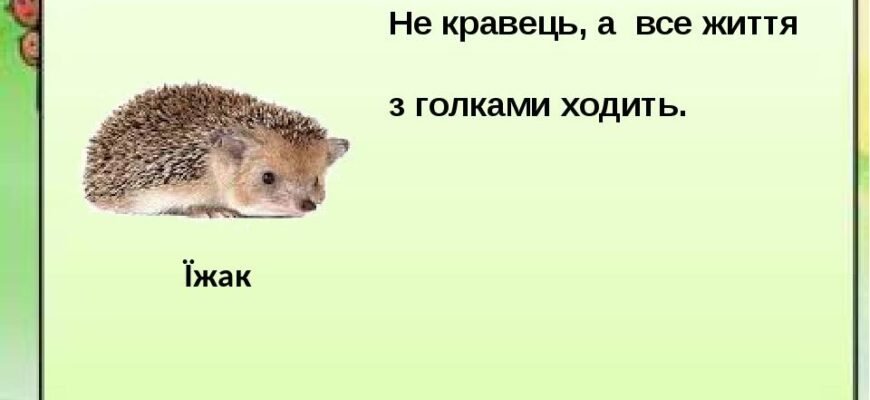 Загадки про тварин для дітей 8-9 років: розвиваймо уяву разом!