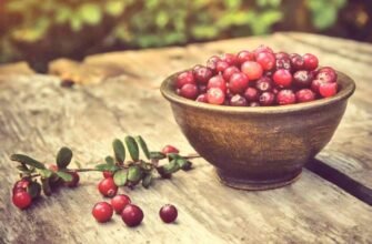 Журавлина: цілющі властивості для зміцнення здоров’я та імунітету