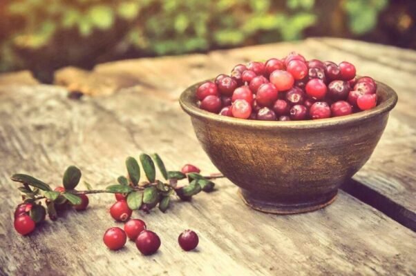 Журавлина: цілющі властивості для зміцнення здоров’я та імунітету