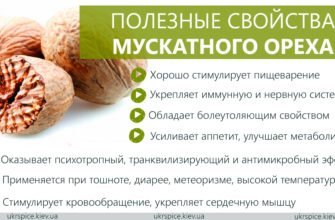 Як розшифровується ЗНО: детальний аналіз абревіатури та її ...