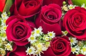 Зворушливе привітання з днем народження брату від сестри: до сліз!