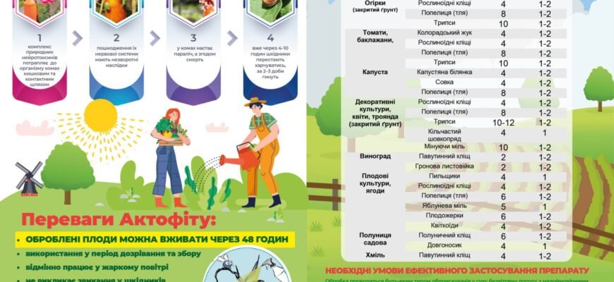 Актофіл: Від чого виникає та як з цим ефективно боротися