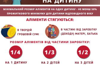 Аліменти: Як розрахувати 1/4 від доходу на утримання дитини