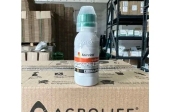 Ампліго: від чого захищає, ефективність і застосування препарату