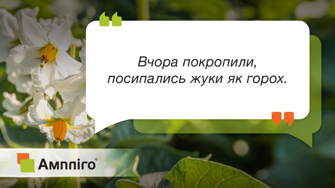 Інсектицид Ампліго 150 ZC ф.к. 4 мл