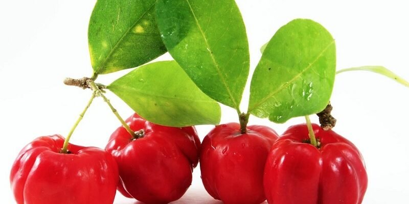 Ацерола: Від чого допомагає ця суперягода? Користь та застосування