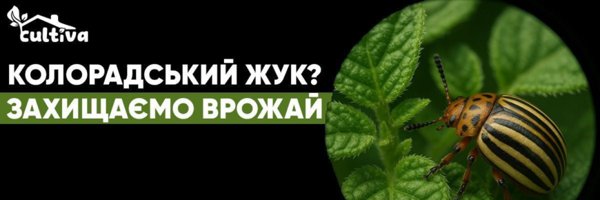 Біопрепарати для боротьби з колорадським жуком: ефективність та застосування