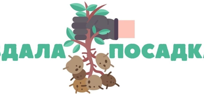 Bros від мурах: покрокова інструкція з ефективного застосування
